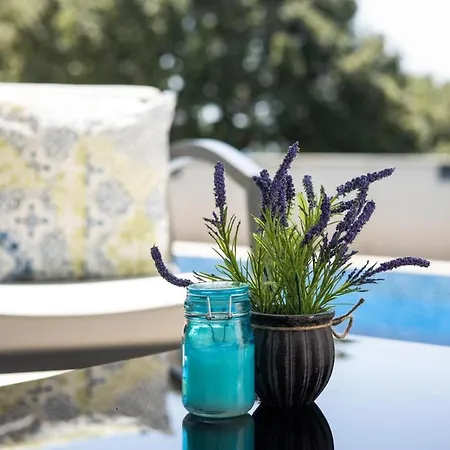 Apartament Elea